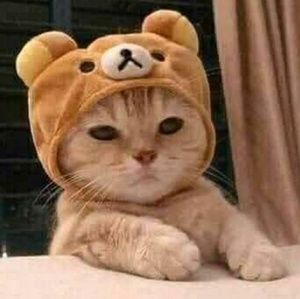 Meet your Posher, Ana